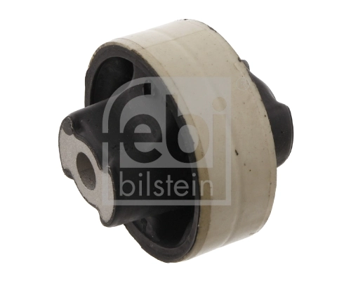 Mounting, control/trailing arm